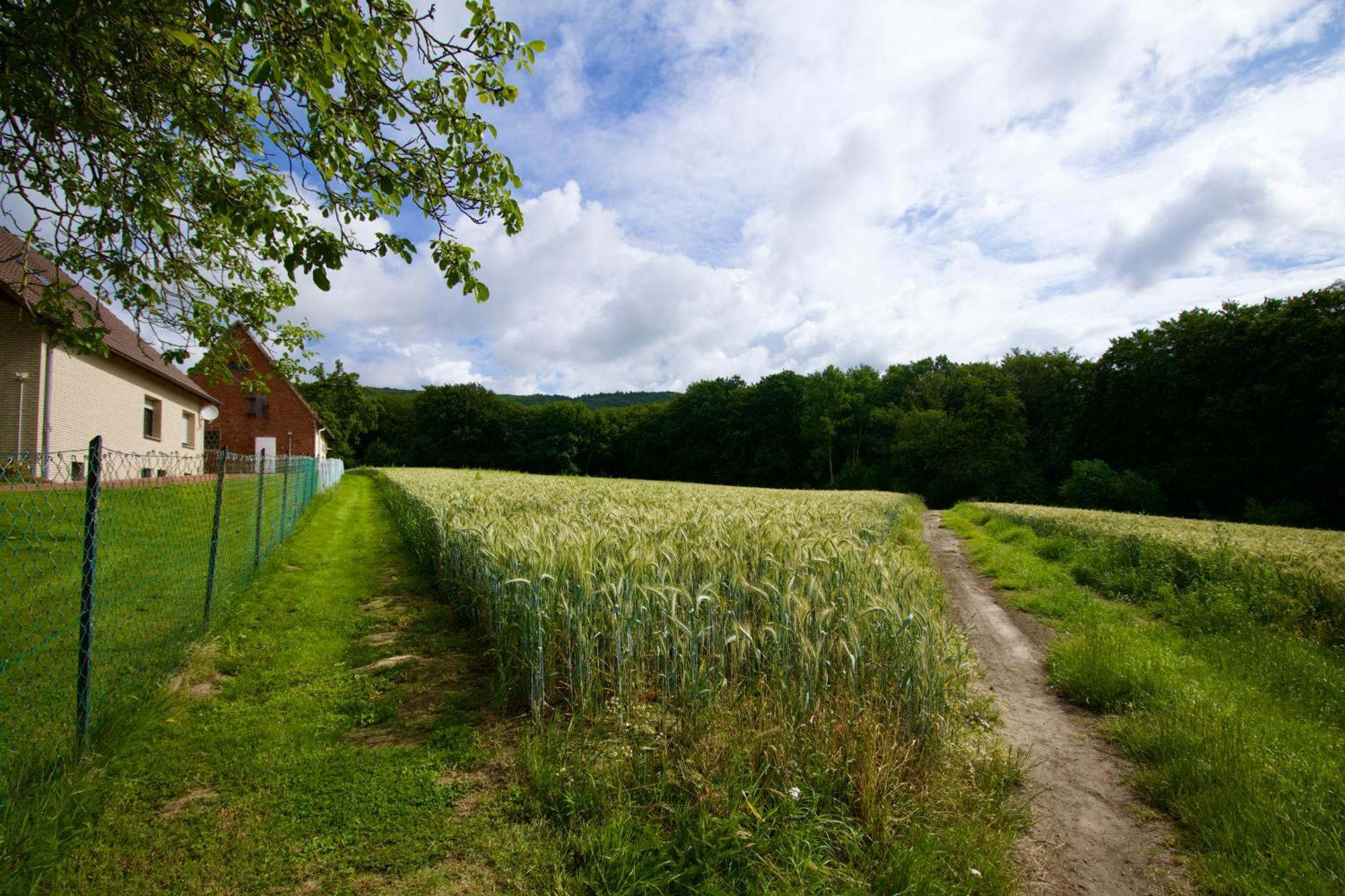 Ferienhaus Plattenberg Bad Oeynhausen Esterno foto