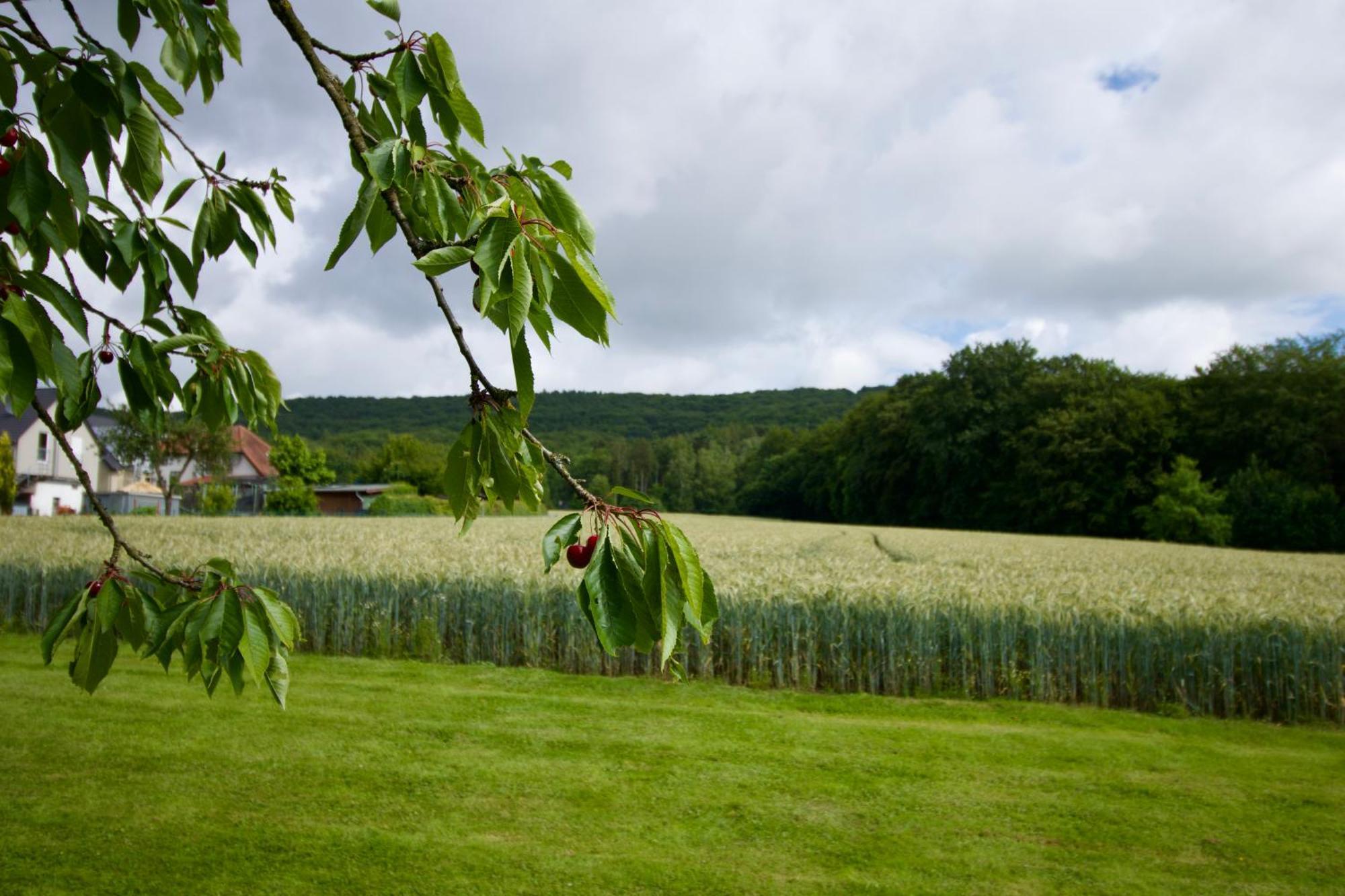 Ferienhaus Plattenberg Bad Oeynhausen Esterno foto